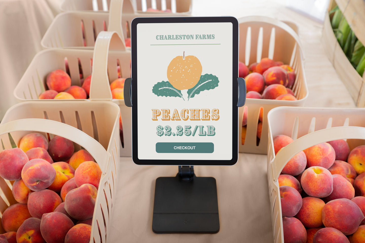 Bras réglable pour iPad HoverBar Duo de Twelve South