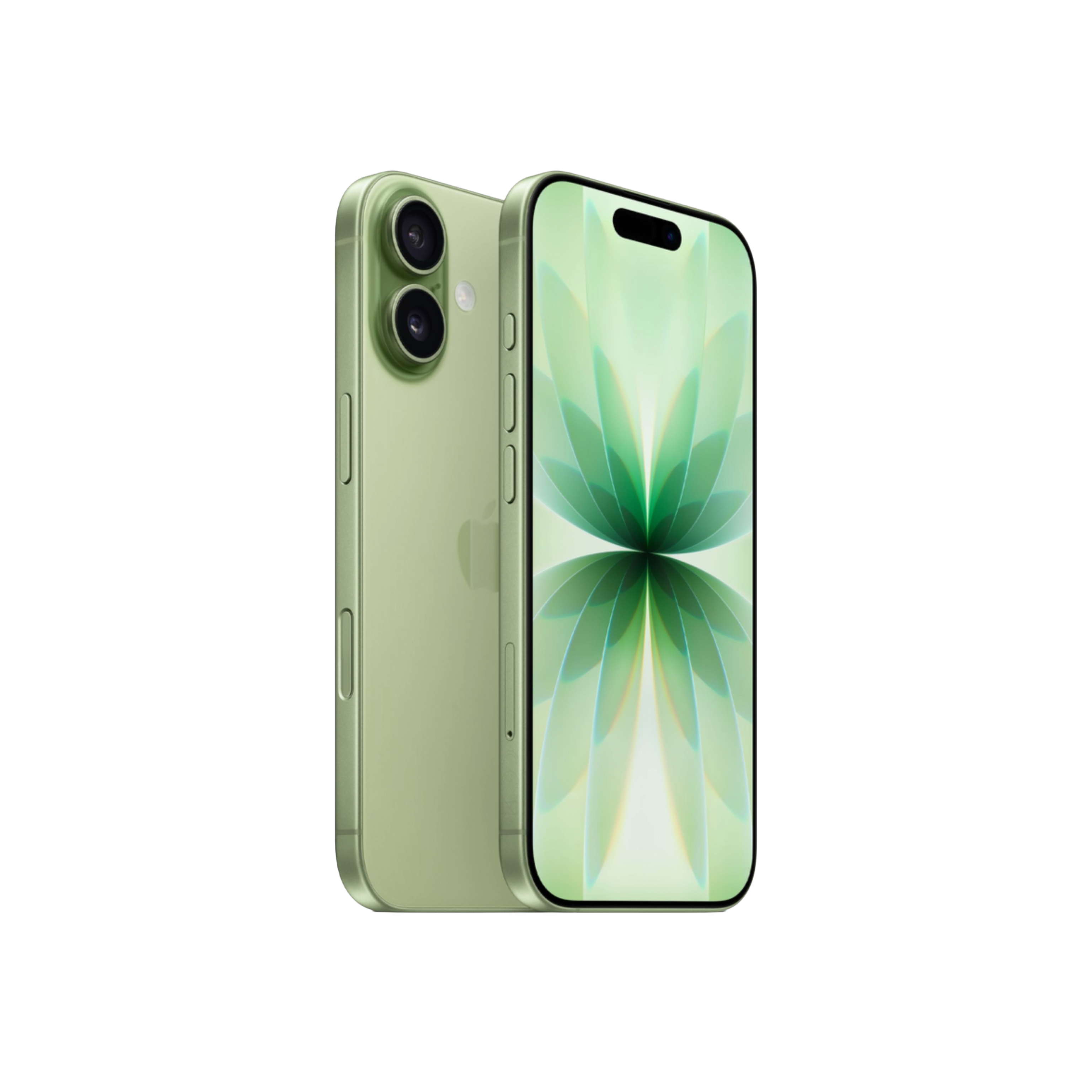 iPhone 17 - 256 Go